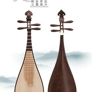 琵琶乐器初学者指南及选购建议